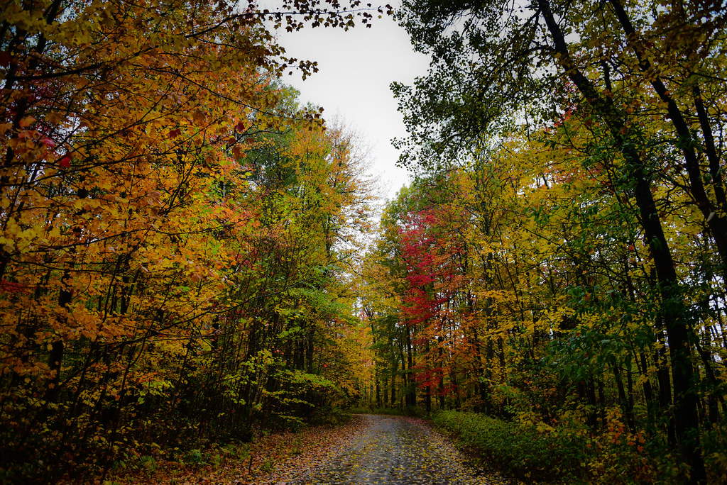 Elevation of SainteEulalie, Quebec, QC G0Z 1E0, Canada Topographic