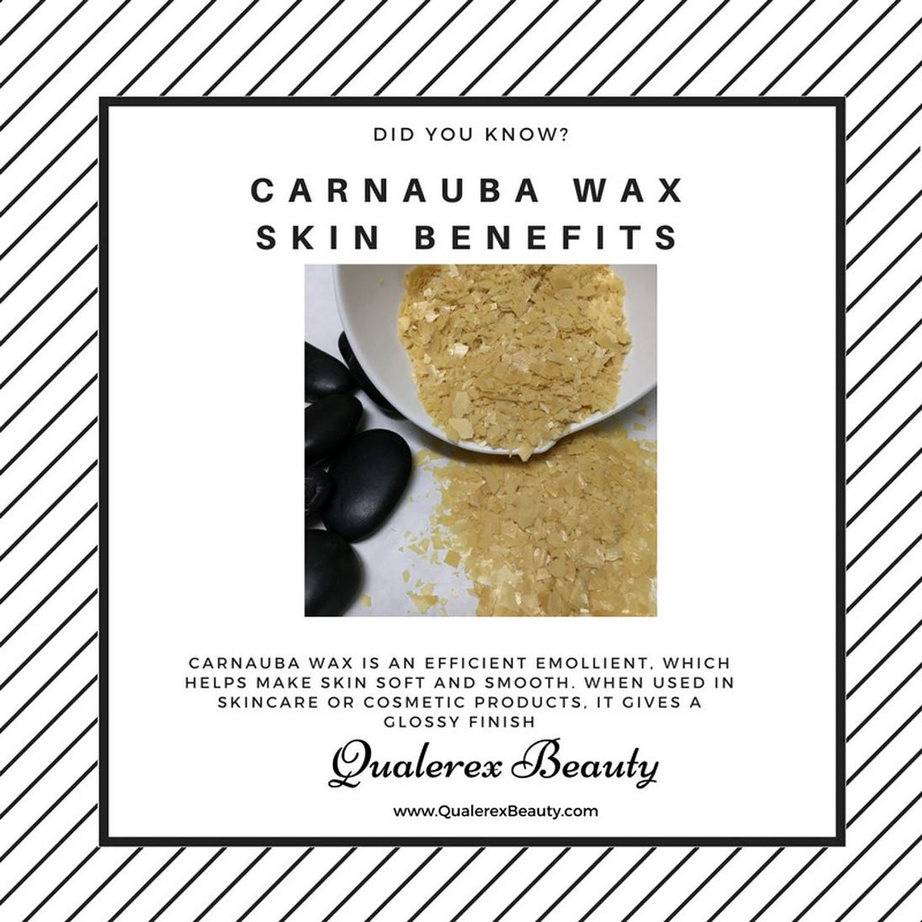 Organic Carnauba Wax T1 is a vegetable wax harvested fro… Flickr