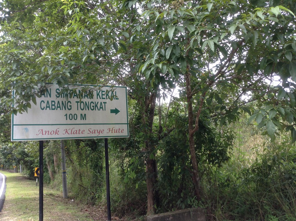 hutan simpan in english