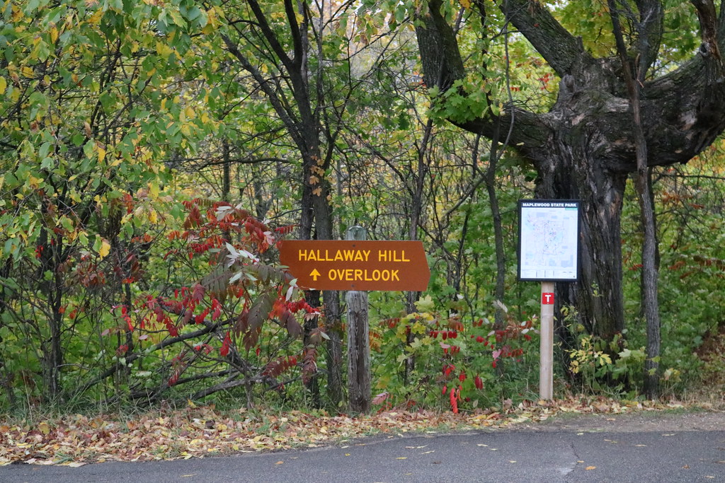 Maplewood State Park C Flickr