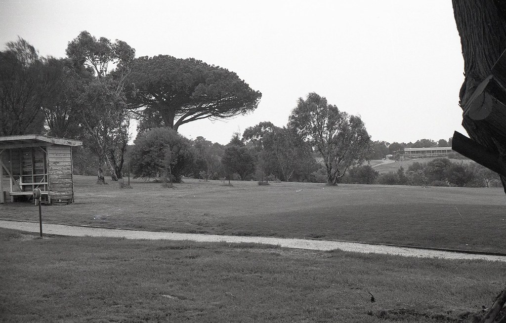 Mount Martha Hopetoun Avenue off, Greenlaw Farm Trees, now… Flickr