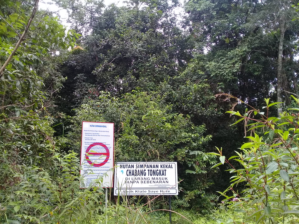 Hutan Simpan Kekal In English For more information and