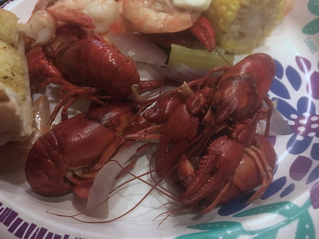 Arizona Shellfish Crawdads from Woods Canyon Lake, a great… Flickr