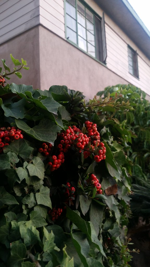 20171003_182740 Mark Benson Flickr