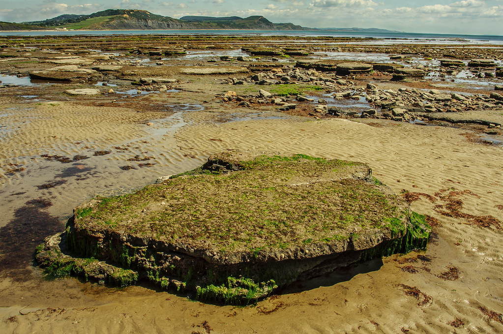 Rock Pools at Lyme Regis Spent a few days in Lyme Regis ea… Flickr