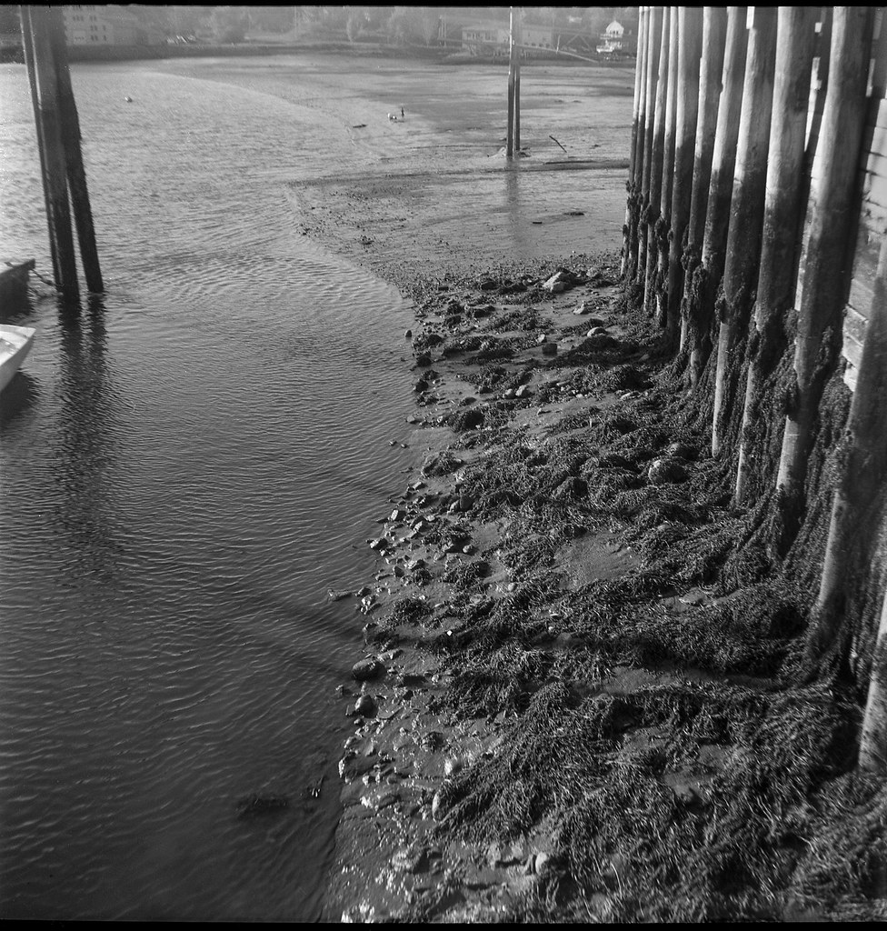 Variation 3, harbor, low tide, public landing, Thomaston, … Flickr