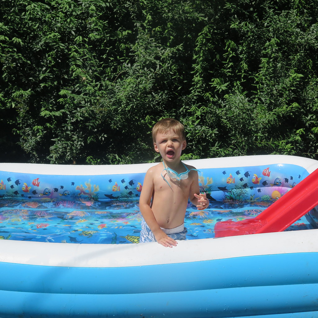 IMG_8282 Sarah Eggers Flickr