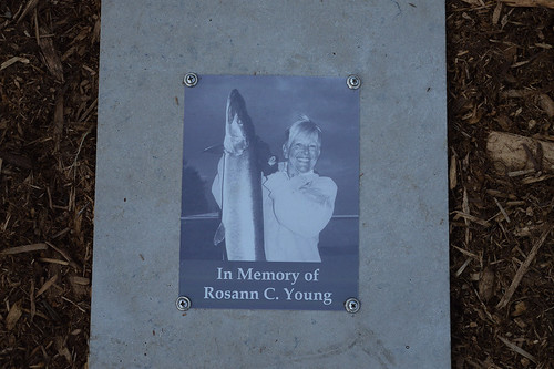 S',more Fun at Camp Boys &amp, Girls Clubs of G… Flickr