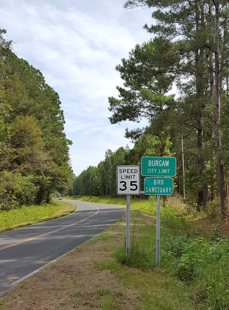 Elevation of Pelham Rd, Willard, NC, USA Topographic Map Altitude Map