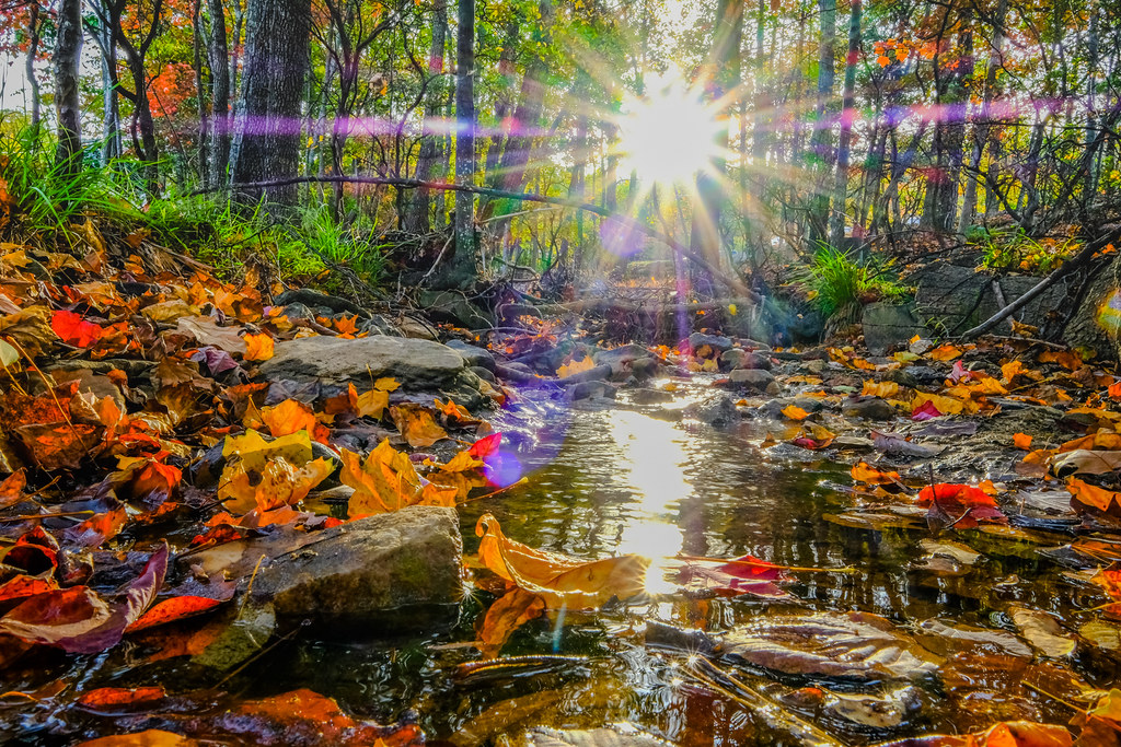 Elevation of Montebello Packaging, N Main St, Harrisonburg, VA, USA