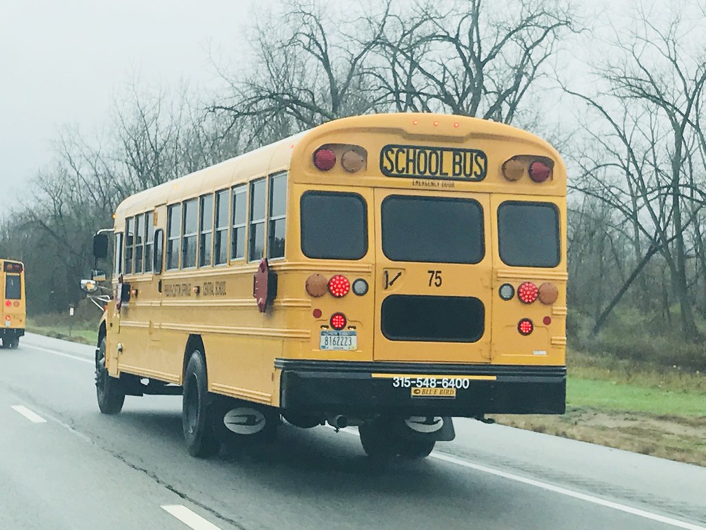 75 Phelps Clifton Springs Central School NY 02intlbluebird Flickr