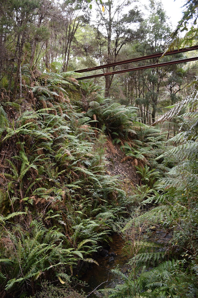 EBR Melba Flats to Zeehan Washed out bridge near Melba F… Flickr