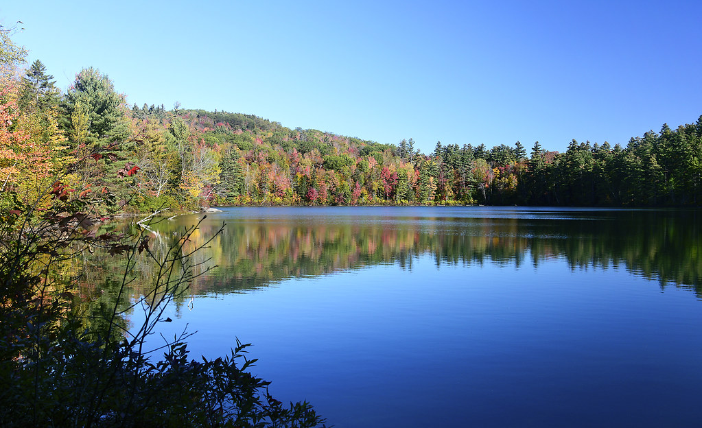 Cole Pond rachel.roze Flickr