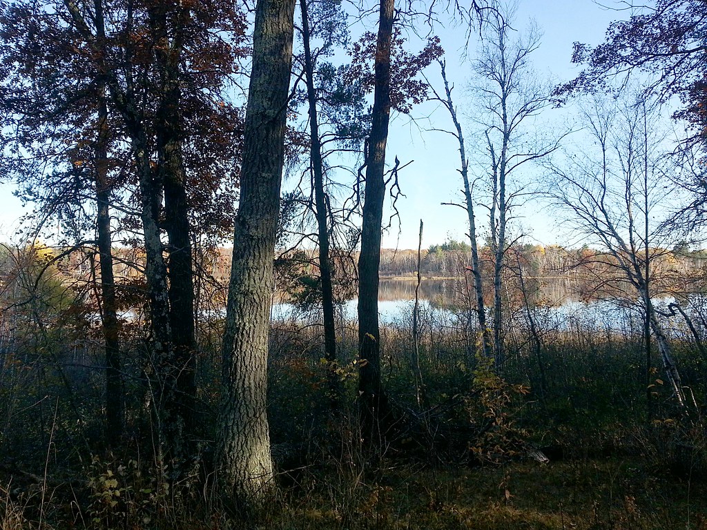 Sleepy Eye Lake (feat. trees) A lot of Trees in upper Wisc… Flickr