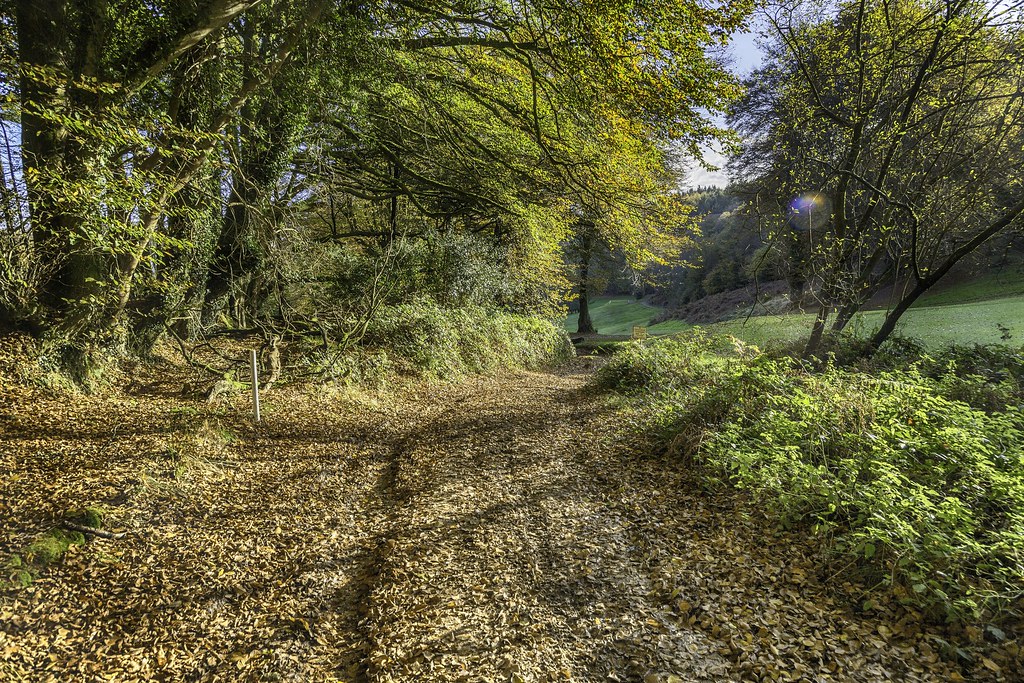 Fire Beacon Hill, Sidmouth Fire Beacon Hill, Sidmouth Flickr