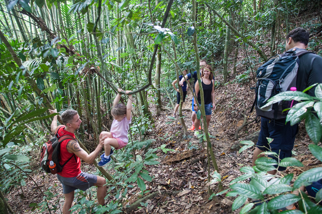 Janda Baik Waterfall Chalet 7 Janda Baik Chalet Tepi