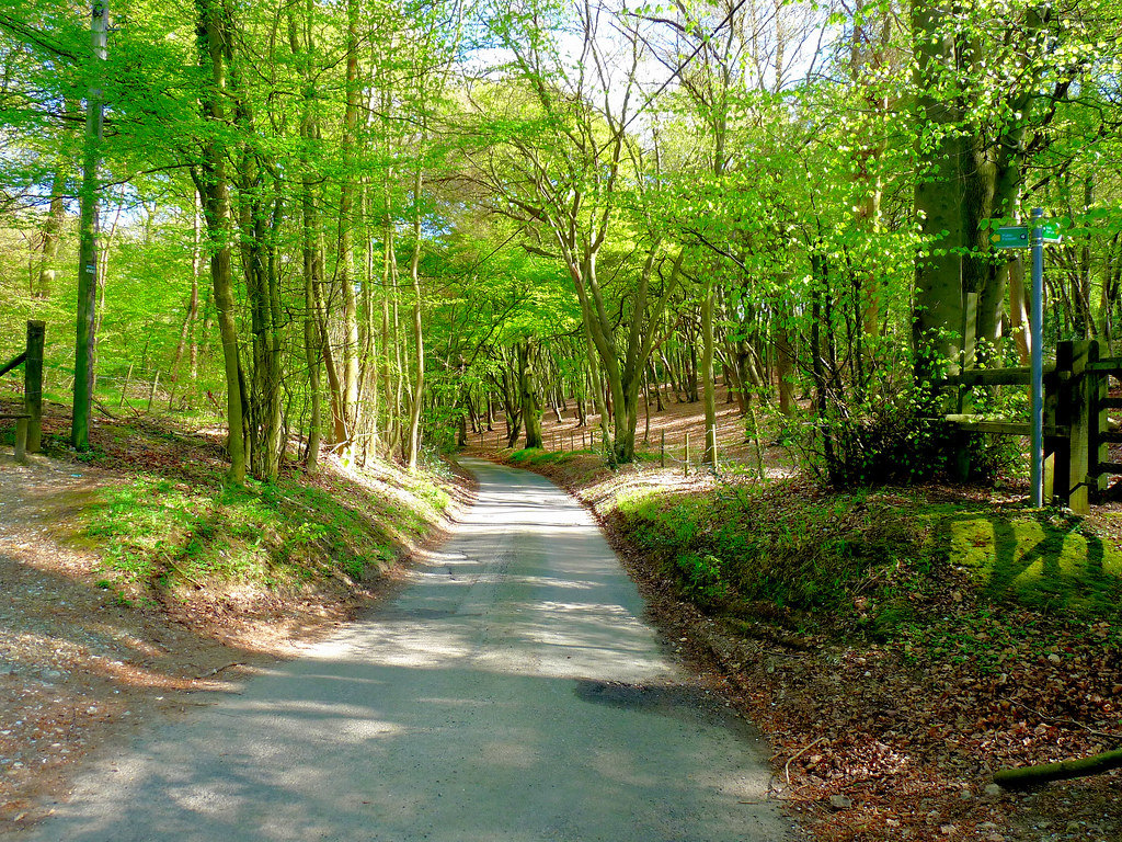 P1000999 Dunsmore Lane, Buckinghamshire 26th April 2009 Flickr
