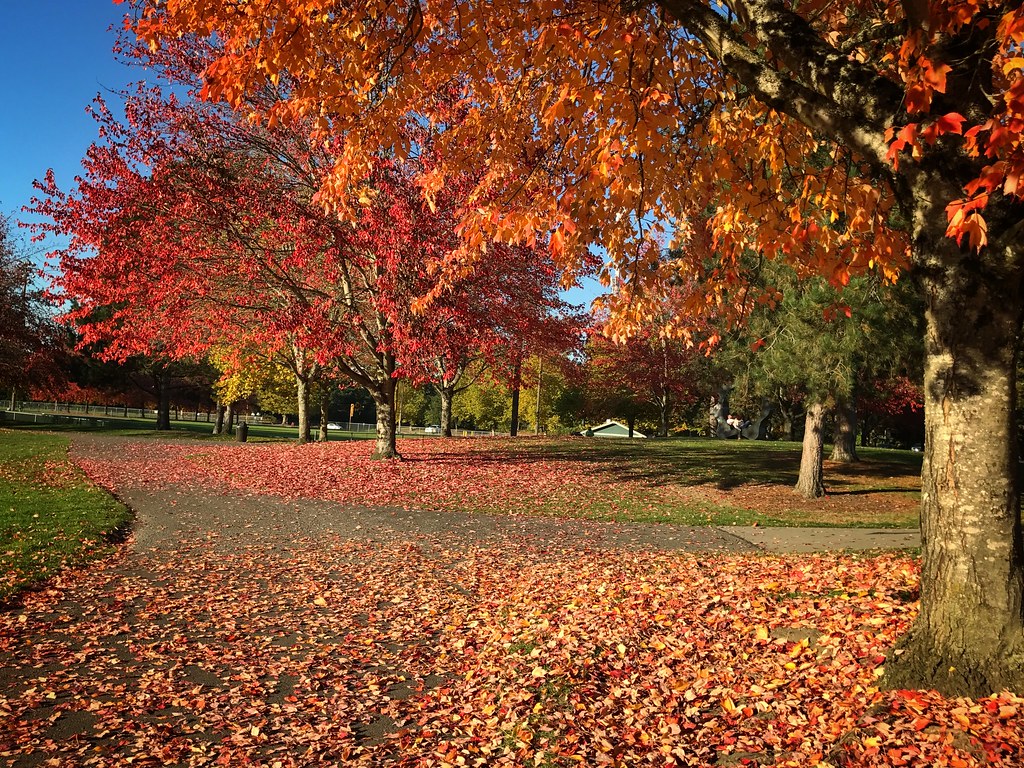 Game Farm Park, Auburn WA Nadine Pa Flickr