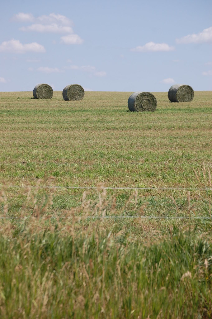 Nebraska Hay Bales Hay Bales in the Sandhills of Nebraska M Gilmore