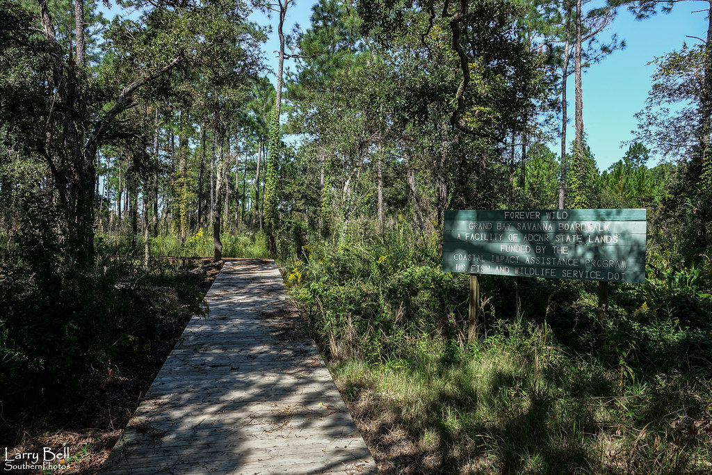 Grand Bay Savanna Boardwalk Bayou La Batre Mobile County Alabama