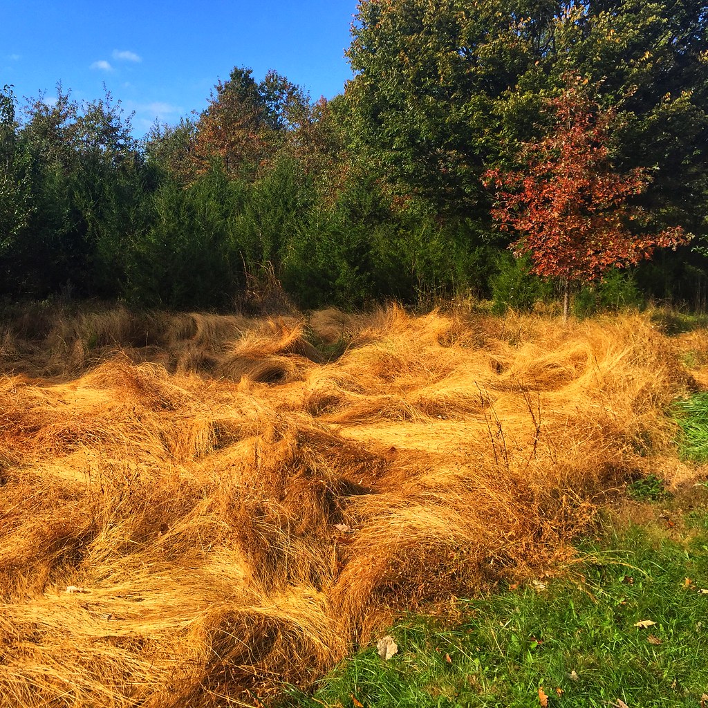 Green Lane Park Boat Launch, Pennsylvania Michael Trinsey Flickr