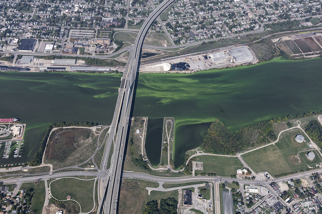 Maumee River HABs Sept 22 2017 2282 Harmful Algal Bloom in… Flickr