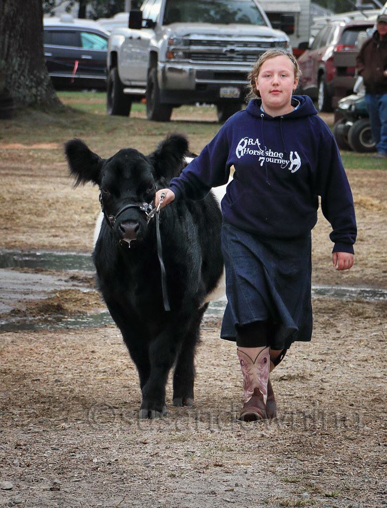All Business Fryeburg Fair, ME. Girl on her way to competi… Flickr