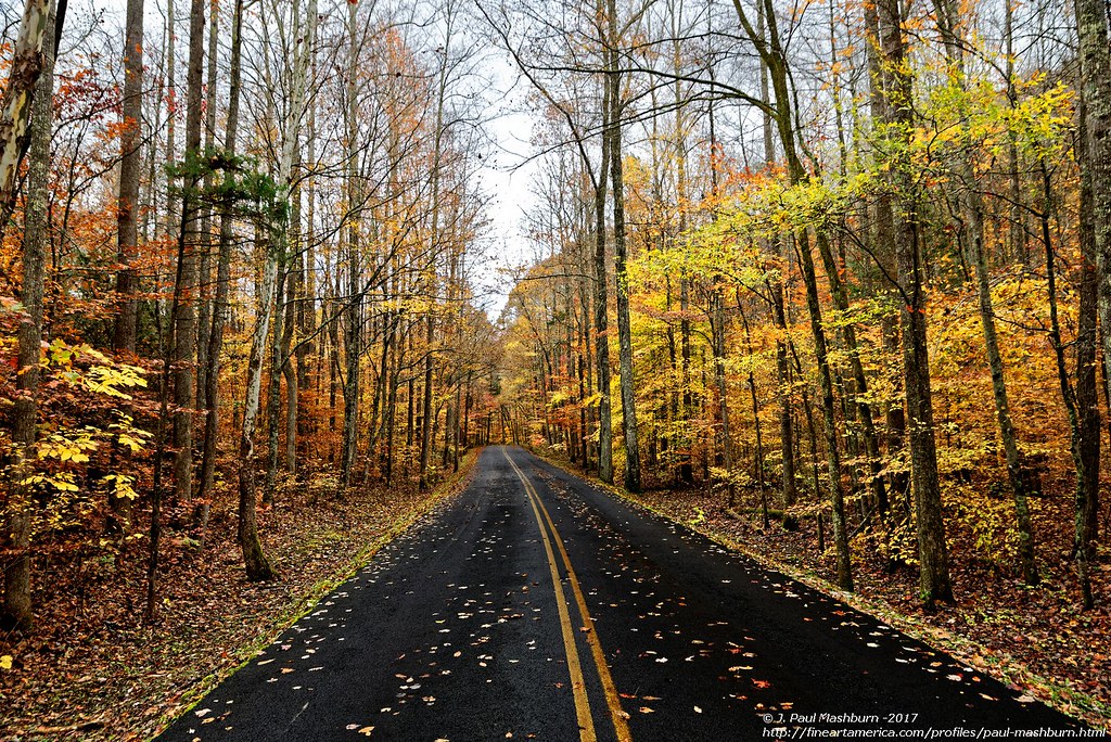 Frozen Head State Park_2017 A coupe of short hikes in Froz… Flickr