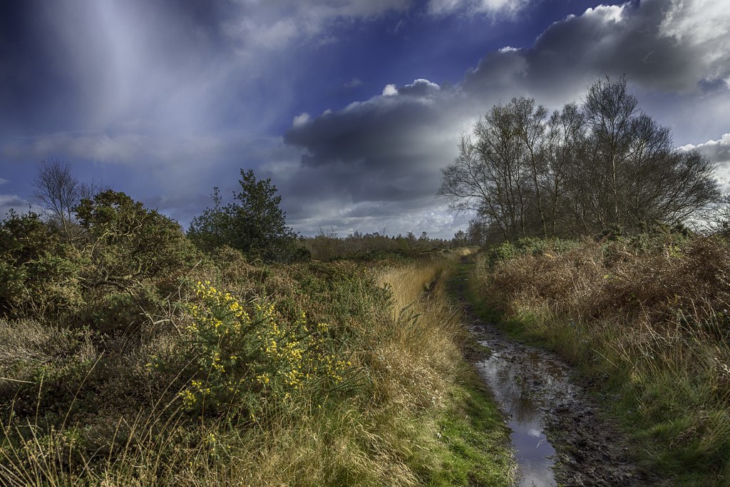 Fire Beacon Hill, Sidmouth Fire Beacon Hill, Sidmouth Flickr