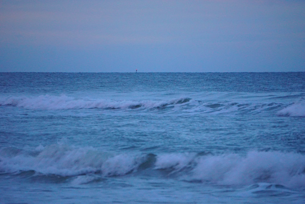 DSC07353 New Smyrna Beach, Florida June 2015 Steve Harwood Flickr