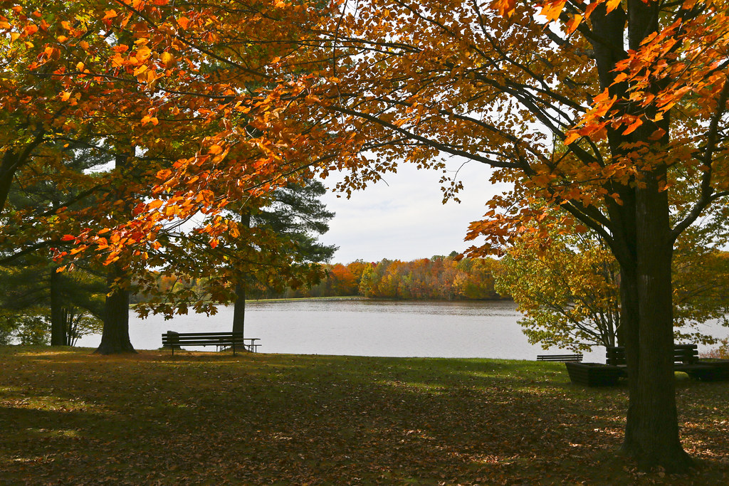 Wisconsin Parkway More from the land up north. Greg Paul Flickr