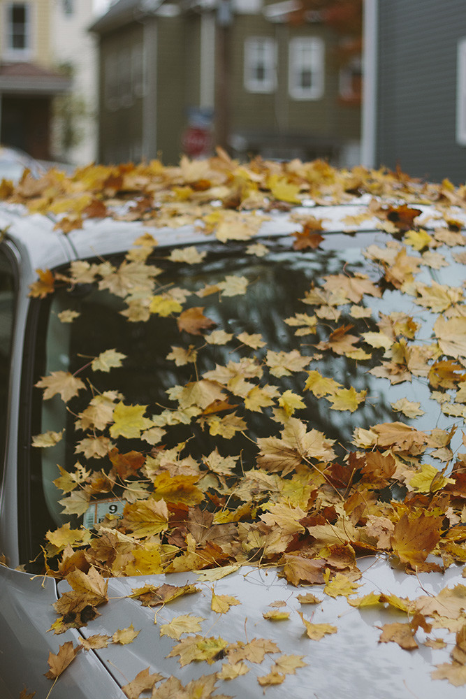 Autumn in New England When summer ends a serious melanchol… Flickr