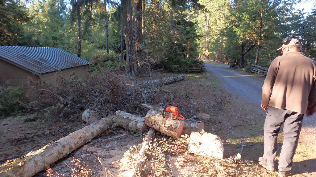 Standing Deadgood firewood Bak_40 Flickr