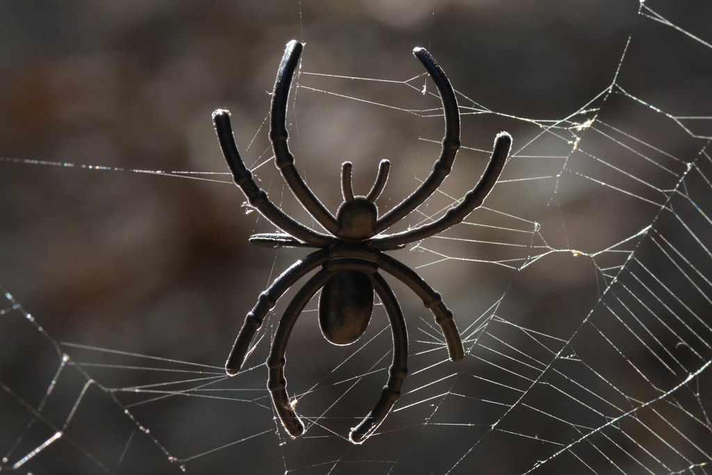 Halloween spider! This Halloween spider came from the Rite… Flickr