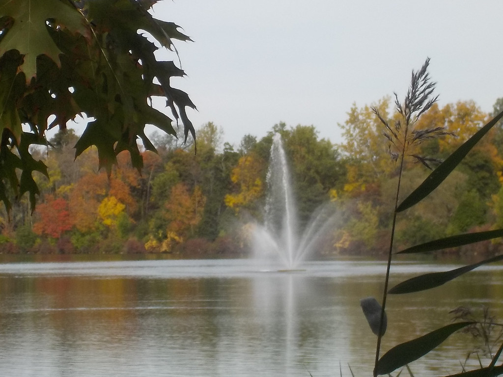 Hoyt Lake (Buffalo, NY) Carolyn Flickr