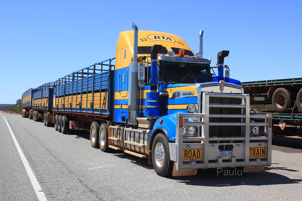 Livestock Express Paul O'Callaghan Flickr