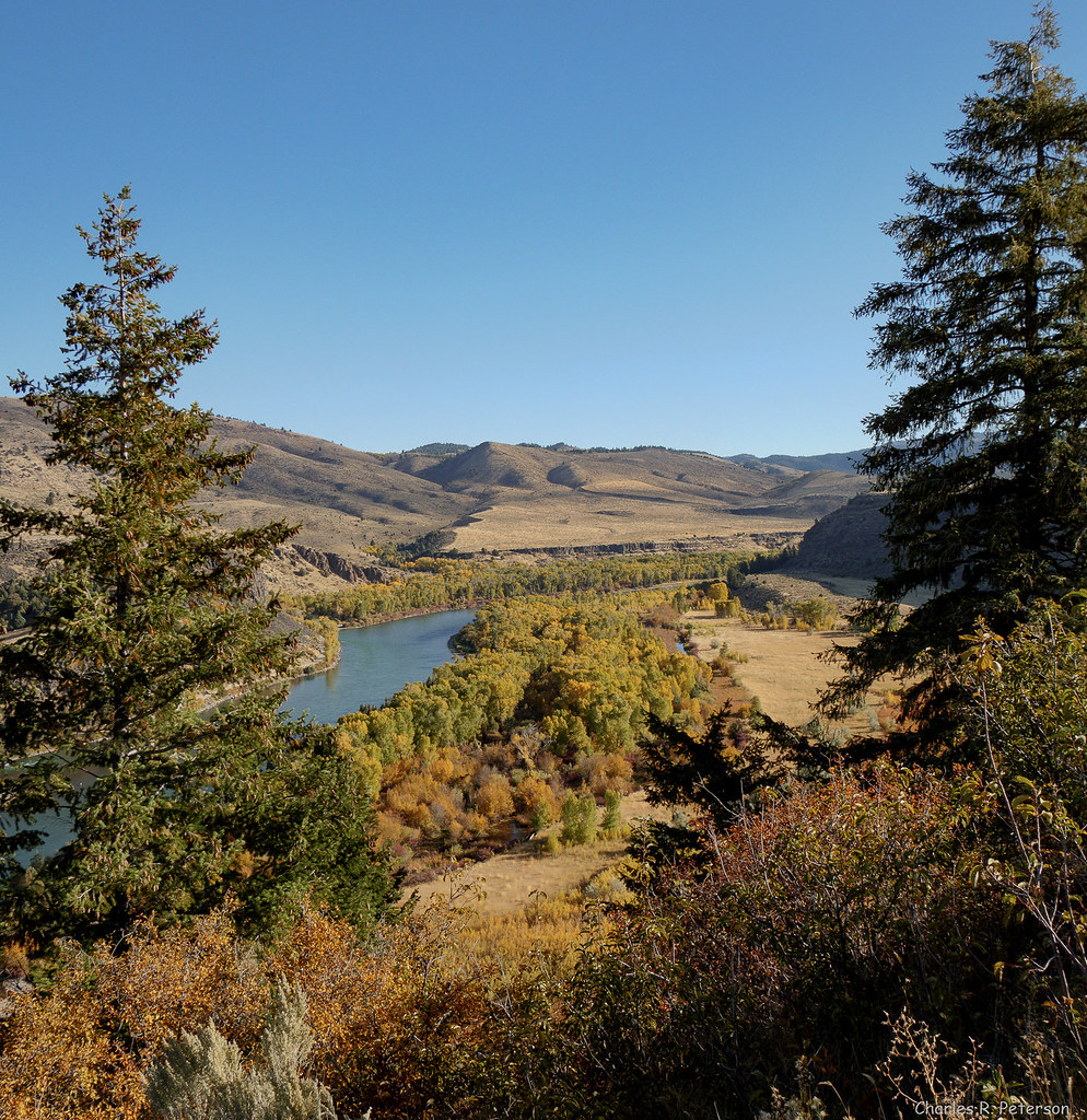 Cottonwood Gallery Forest 1 Idaho South Fork of the Sna… Flickr