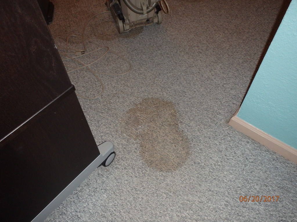 June 20, 2017 Carpet stains osseous Flickr