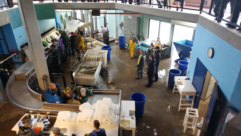 Elevation of Lorton Lake Dr, Altmar, NY, USA Topographic Map