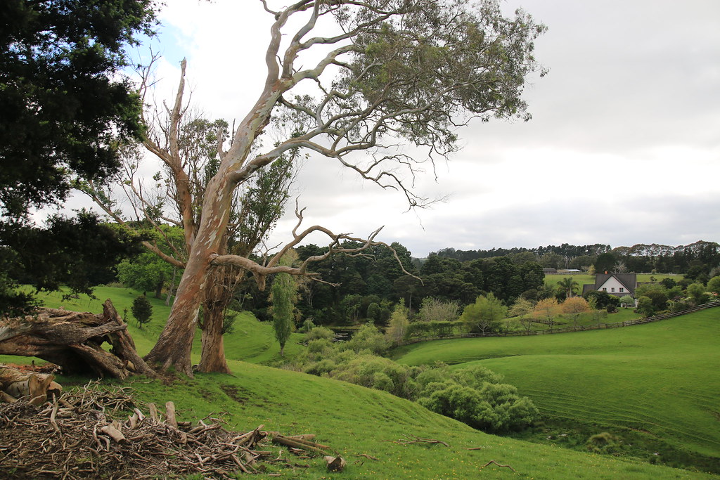 Tuakau, rural New Zealand. Flickr