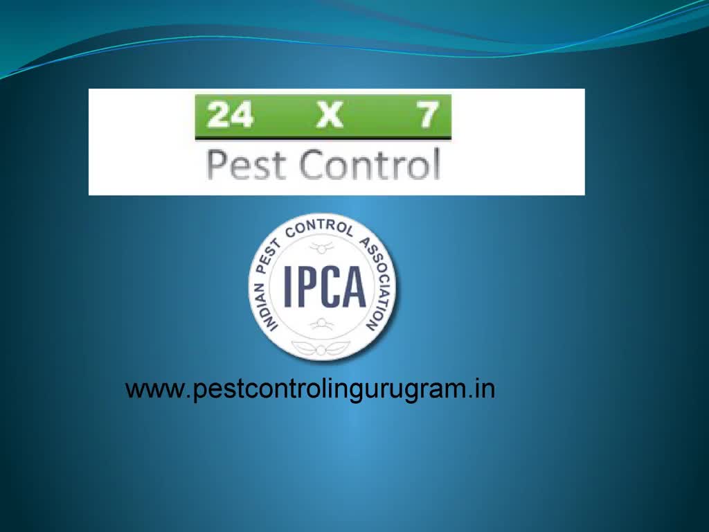 Pest Control Gurgaon at Affordable Prices We are One of th… Flickr