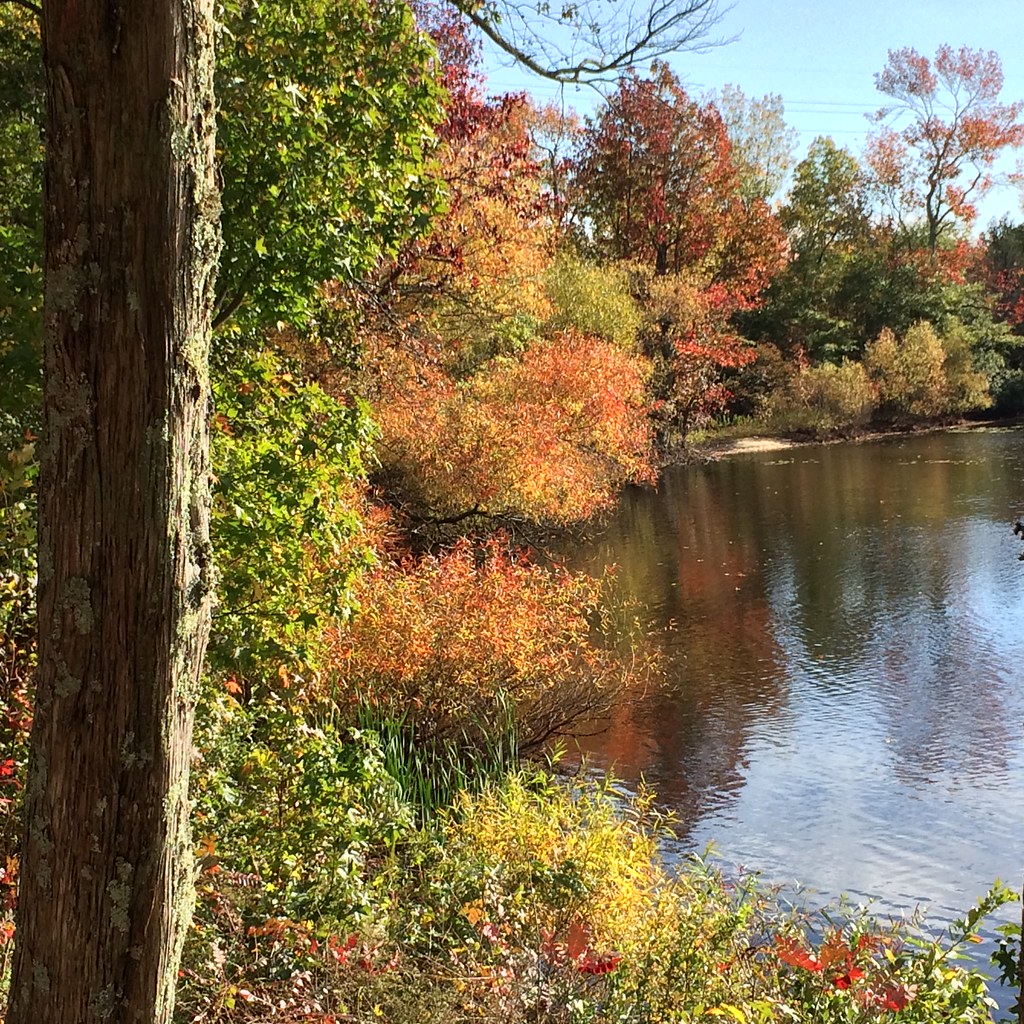 Chestnut Lake, Port Republic, nj Patty Ali Flickr
