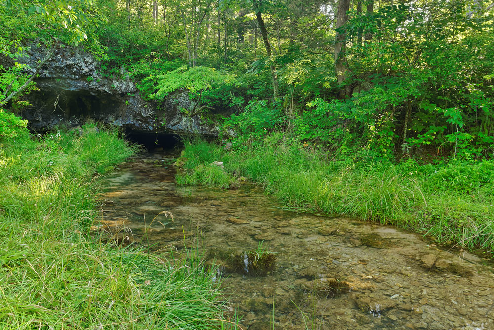 Powder Mill Cave spring branch located in the Rocky Creek … Flickr