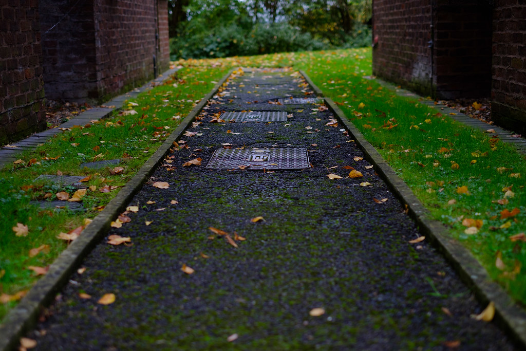 201710Golders Green Park Flickr