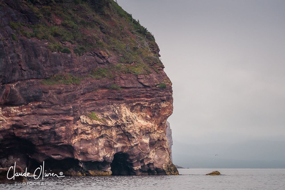 L'île de Bonaventure, Percé, Québec L’Île Bonaventure est … Flickr