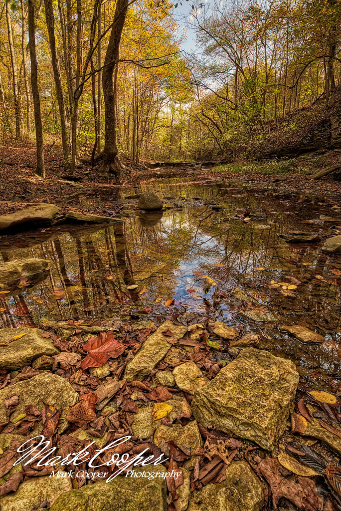 Hathaway Preserve At Ross Run Wabash, Indiana Visit my Pro… Flickr