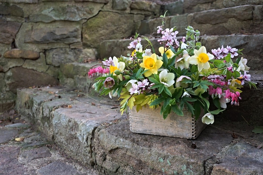 Wholesale Fresh Flowers So, what a… Flickr