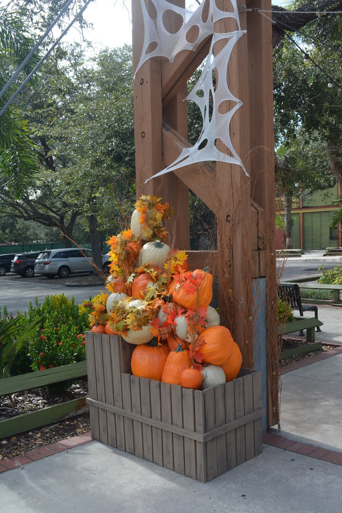 Tampa, FL Lowry Park Zoo Ready for Halloween Jeff Rozwadowski