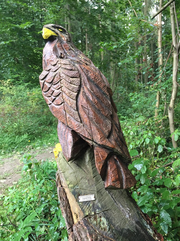 Untitled bejjani roula Flickr