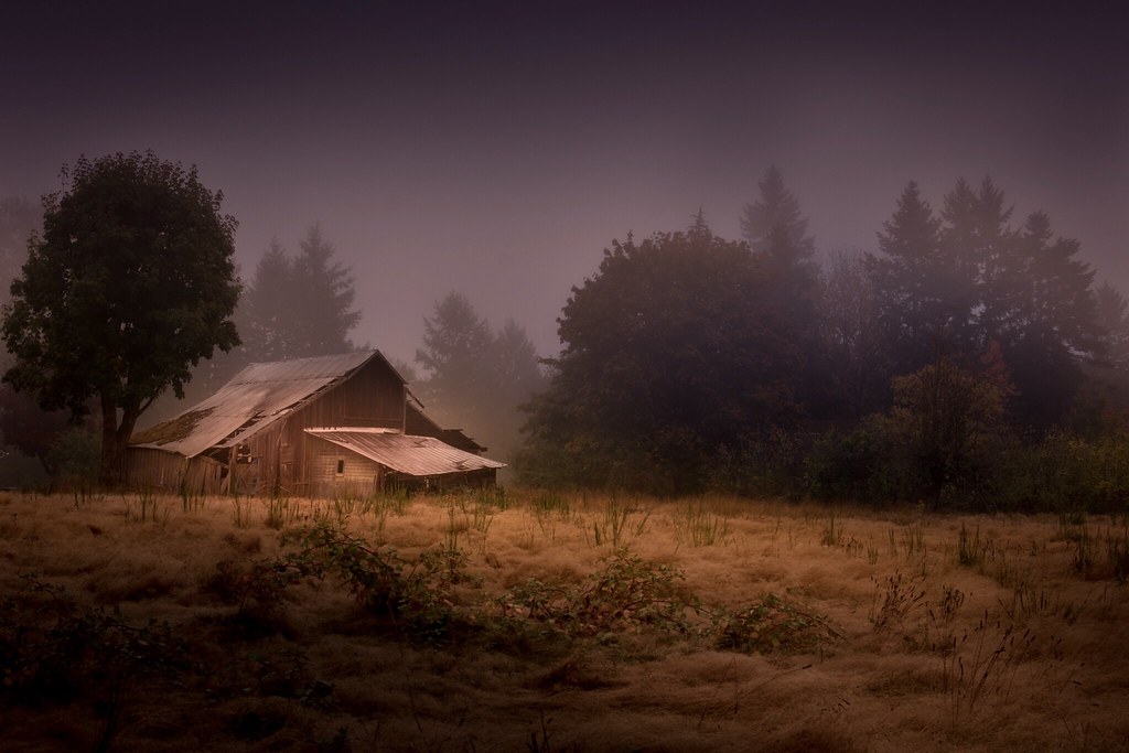 Foggy Farm Beautiful foggy morning just down the road from… Flickr
